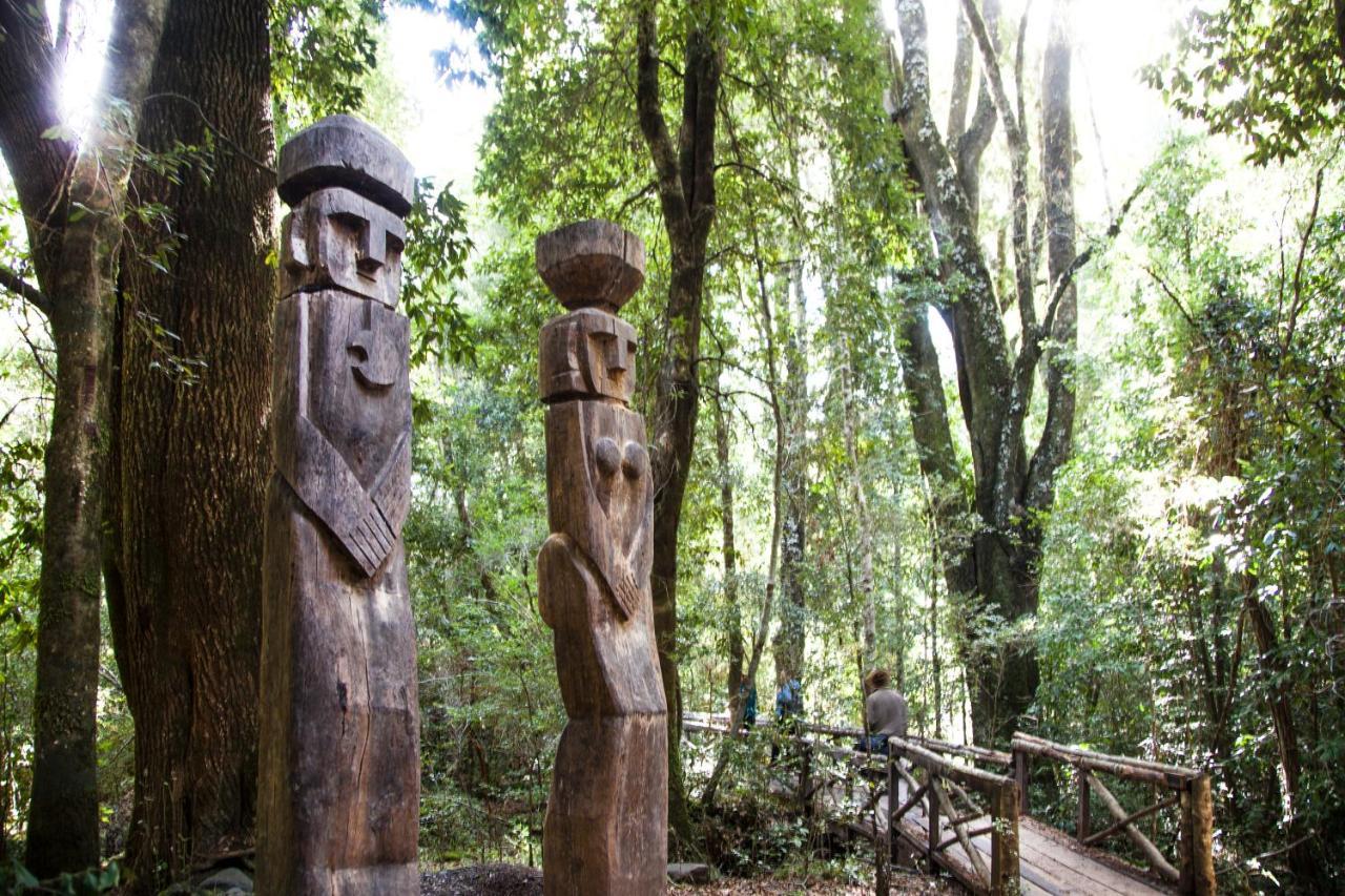 Huilo Huilo Reino Fungi Villa Puerto Fuy Buitenkant foto