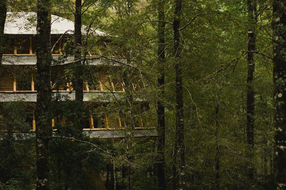 Huilo Huilo Reino Fungi Villa Puerto Fuy Buitenkant foto