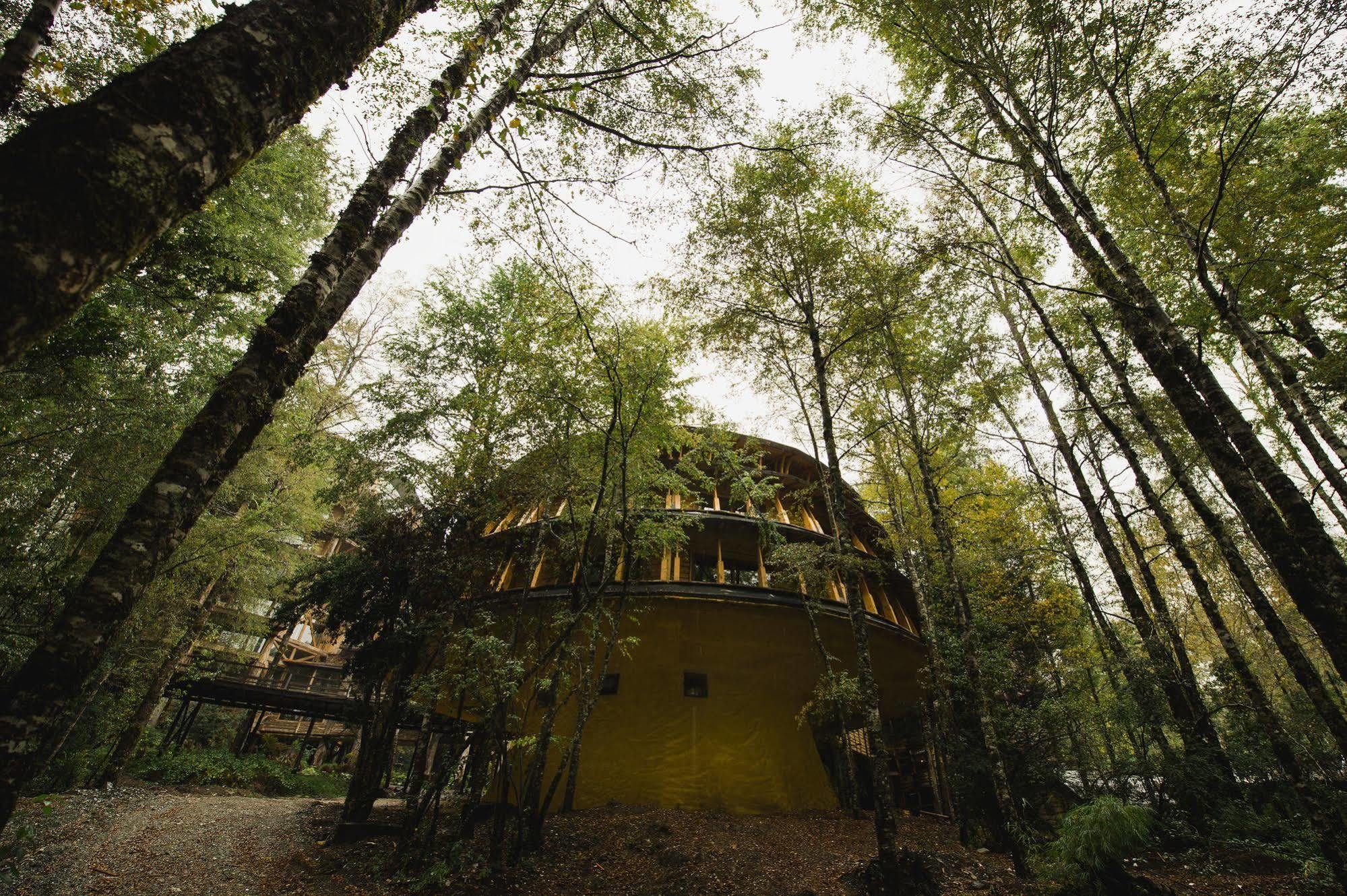 Huilo Huilo Reino Fungi Villa Puerto Fuy Buitenkant foto